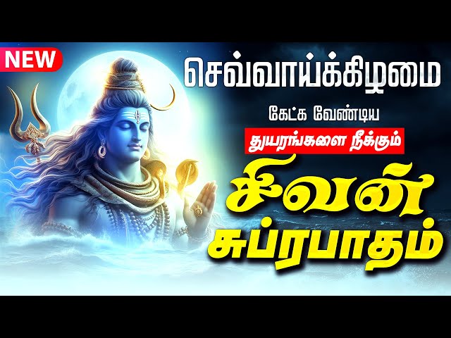 🔴LIVE SONGS | செவ்வாய்க்கிழமை கேட்க வேண்டிய சிவன் சுப்ரபாதம் Sivan Suprabatham Tamil Shivan