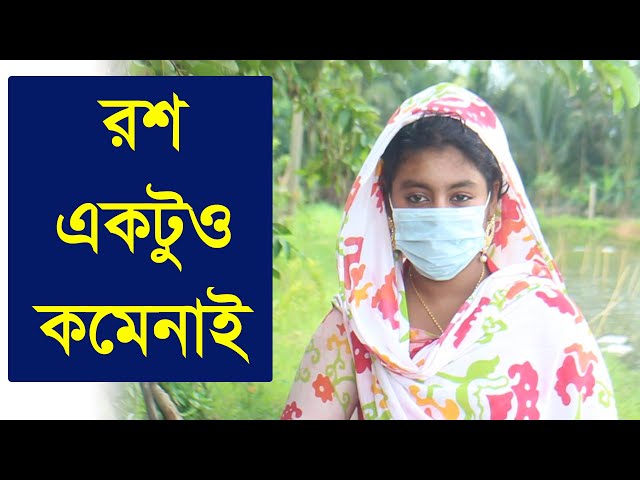 ব্রয়লার মুরগির বাচ্চা পালনে রোগ প্রতিরোধ ও পরিচর্যা পদ্ধতি!মুরগির বৃদ্ধি নিশ্চিত করার টিপস ৬৭