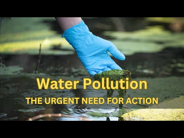 Water Polluted, Life Threatened: The Urgent Need for Action