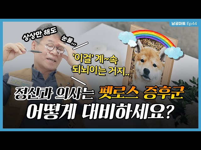 13살 노견 키우는 '정신과 의사'는 🐶펫로스 증후군을 어떻게 이겨낼까? - [남궁마트 EP45]