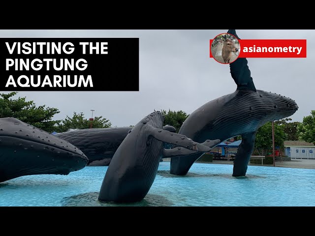 Visiting the Pingtung Aquarium (National Museum of Marine Biology and Aquarium)