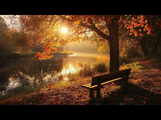 Beautiful Relaxing Music for Stress Relief 24/7 🍁 Enchanting Autumn Nature Scenes, Autunm Forest