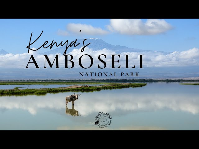 Amboseli National Park, one of the most popular parks in Kenya!