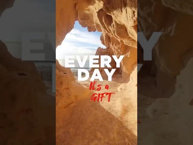 EVERY DAY IT’S A GIFT #mymotivation #motivation #gratitude #life #beautyoflife #shortvideo #quotes