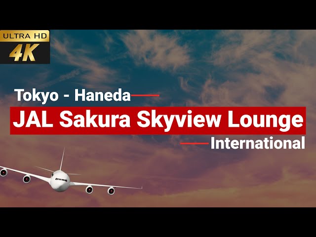 [4k] Japan Airlines Sakura Skyview Lounge Haneda Tokyo Airport 2023 | Japan airline Business Lounge