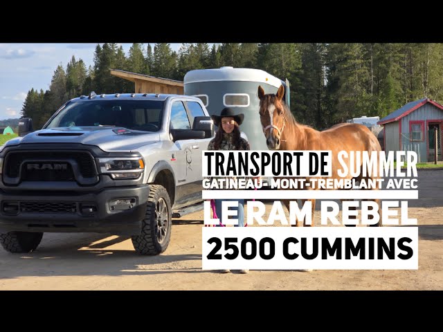 Transport du Cheval à Jenn avec le Ram Rebel 2500 Cummins Diesel