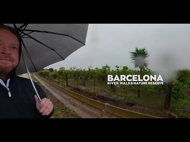 A rainy day in Barcelona. Walking the countryside + annoying a bird. 360 travel vlog.3