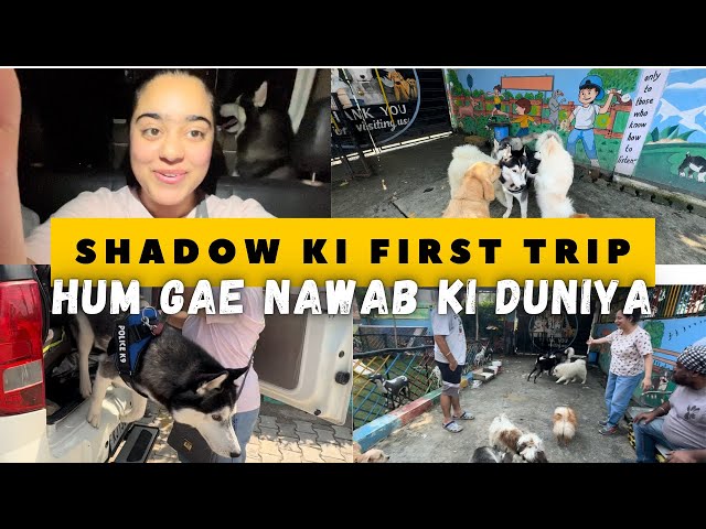 Shadow Ki First Long Trip! Nawab Ki Duniya 🤩 (Part-1)