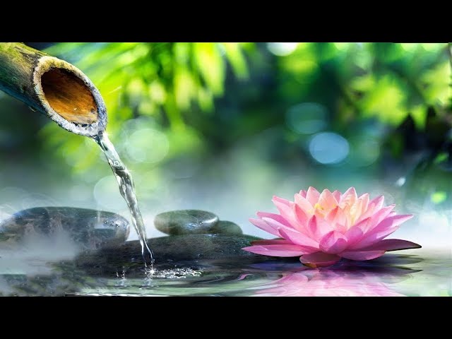 No Mid Ads Relaxing Music For Sleeping ~ Soothing music, Calming for sleep Stress relief, Meditation