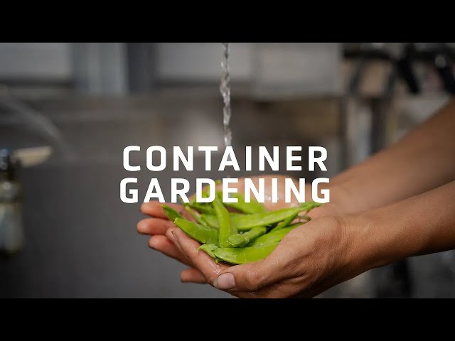 Easy Transition to Container Gardening