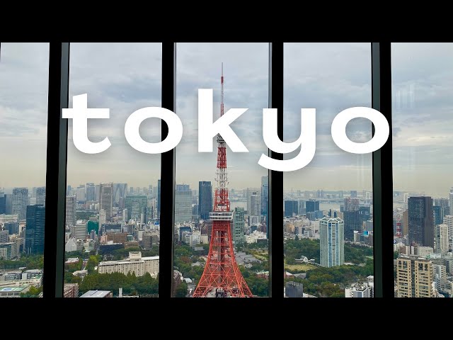 TOKYO Highlights: Starbucks Reserve Roastery, Tokyo Tower View, 3D Cat Experience