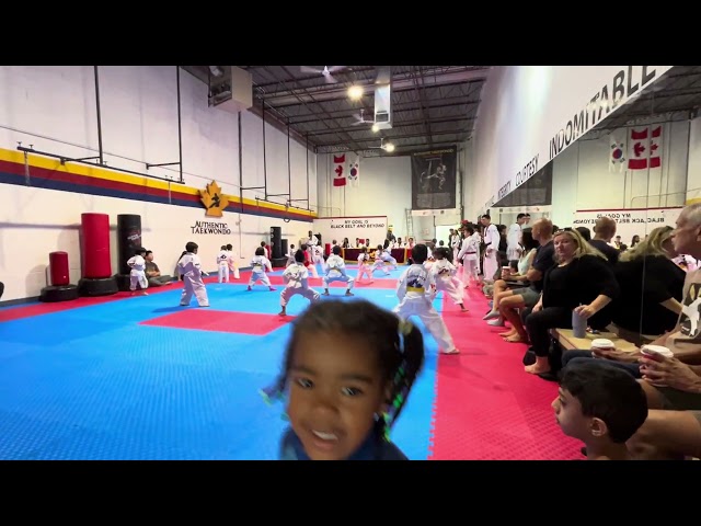 Belt Test kids with Yalow orange Green Red taekwondo