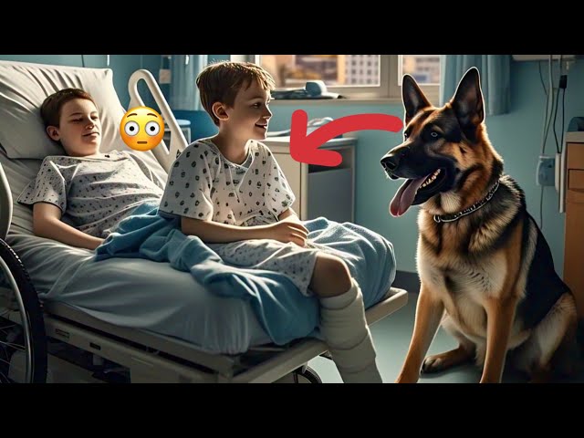 Dad Adopts a Dog for His Paralyzed Son—What Happens Next Will Shock You | Enter The Stories