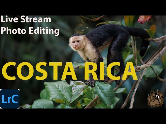 Lightroom Photo Editing Live Stream: Costa Rica | Win a Free Print