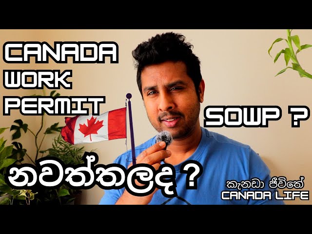 Spouse Work Permit නවත්තල​ද? 🇨🇦 | Spouseට එන්න පුලුවන්ද? #student #SOWP #canada #sinhala