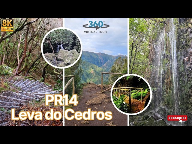 🌿 Explore PR14 Levada dos Cedros in 360º | Waterfalls and Laurisilva in Madeira