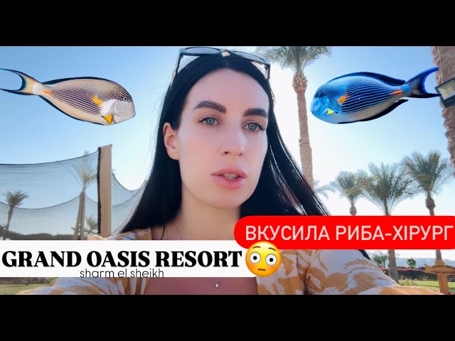 Єгипет 2025 .Ми в шоці . На нас напала риба в Шарм Ель Шейх . Grand Oasis Resort ВЛОГ