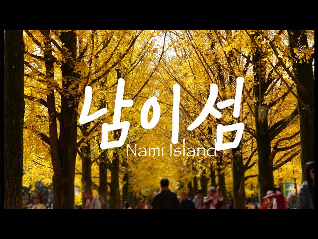 Visited Beautiful Nami Island in South Korea with Stunning Autumn Foliage