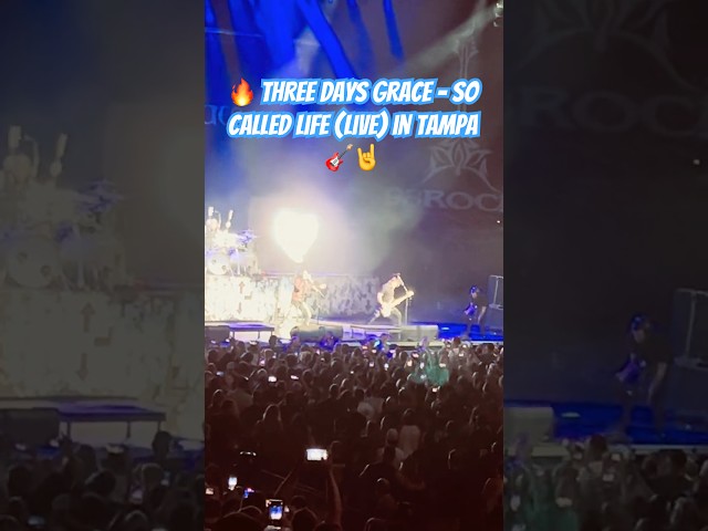 🔥 Three Days Grace - So Called Life (Live) in Tampa  🎸🤘#threedaysgrace #shorts #music