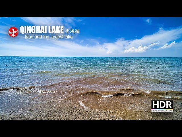 [4K HDR] Walking around the Blue and the Largest Lake | Qinghai Lake (Koko Nor Lake) 漫步中国第一大湖 - 青海湖