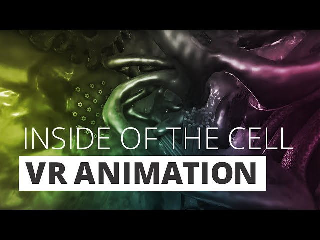 Darmzelle VR injected. DEMO - inside of the cell VR animation. 360 ° Video.