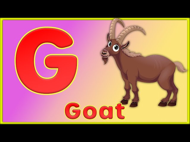 Letter G | Goat, Ghost, Gorilla, Gold, Glue, Grapes - Learn Letter G