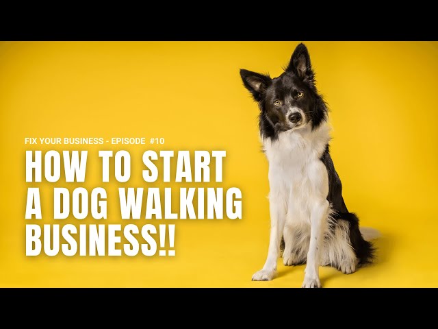 How to Start a Dog Walking Business: a Step-by-Step Guide