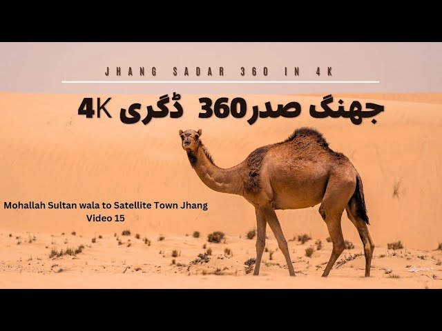 Mohallah Sultan wala to Satellite Town ( Nai Shar) Jhang |360degree 4K|  Jul 2024