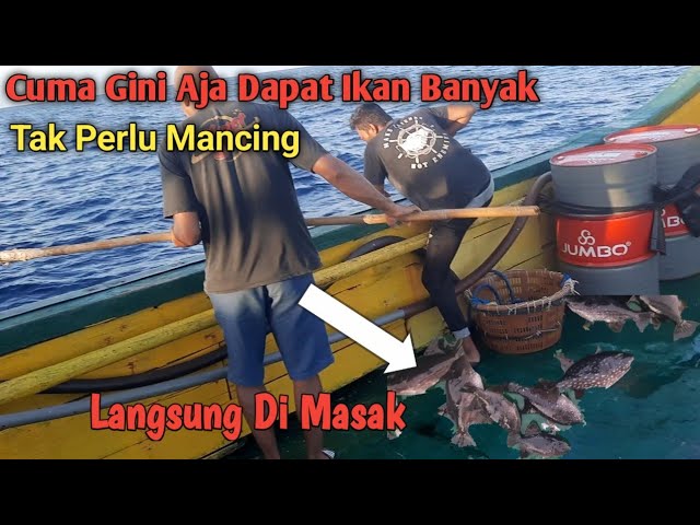 Begini Menangkap Ikan Dgn Cara Unik Dan Mudah..Tanpa mancing Dapat Banyak