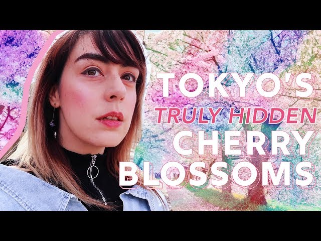 Secret Cherry Blossoms Spots in Tokyo, Japan 🤫