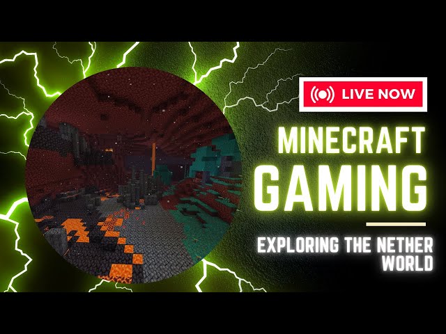 Nether Adventure-Exploring the Fiery Depths of Minecraft’s Underworld-Amazing Striders-Lava Chaos!