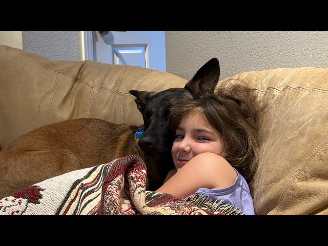 Lily and Her Belgian Malinois Puppy!