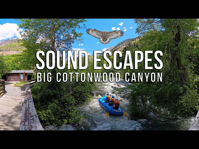 Zen Journeys | Follow Me Escapes | Cottonwood Canyon | NRG VR | Virtual Reality | Global Journeys