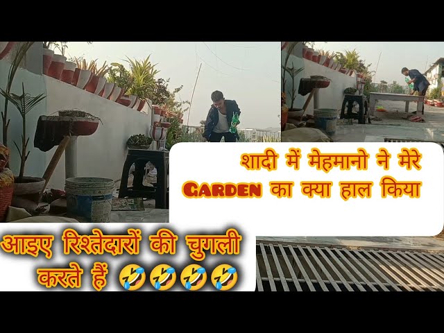 शादी में मेरे Terrace Garden का क्या हाल हुआ। और रिश्तेदारों के सारे ड्रामे सुनिए 🤣🤣