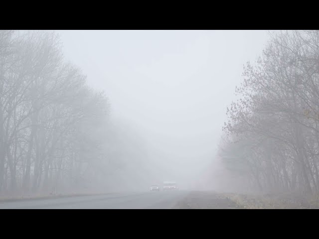 Safety Tip. Driving in Mist