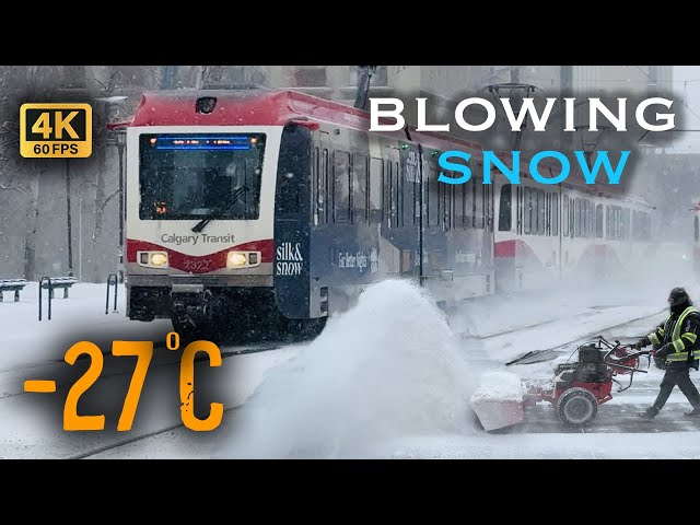 【4K】Surviving the Deep Freeze: -27°C Blowing Snow Walking Tour in Downtown Calgary #4kwalk  #snow