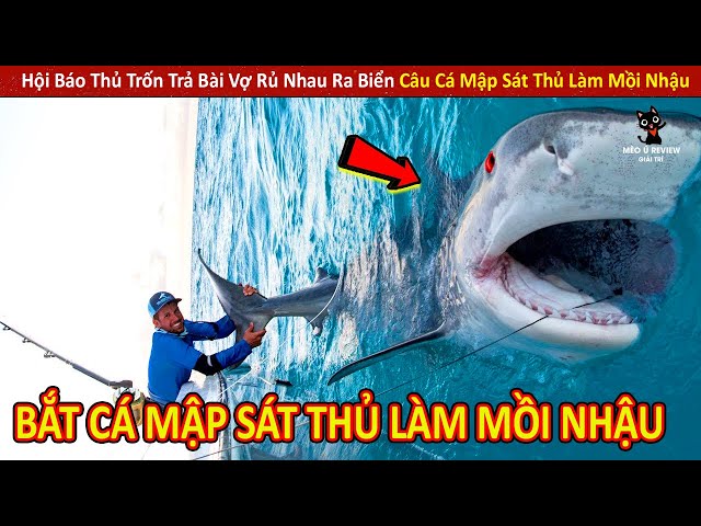 Hội Báo Thủ Rủ Nhau Ra Biển Câu Cá Mập Sát Thủ Và Cái Kết Cảm Lạnh || Review Giải Trí Đời Sống