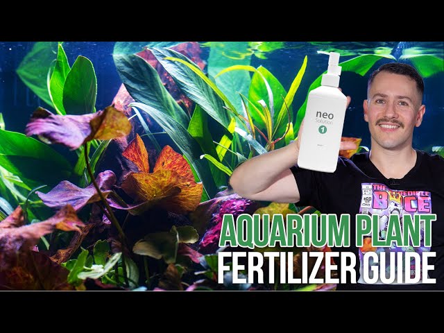 Aquatic Plant Fertilizer Guide for Aquascapers - Dosing Planted Tank Fertilizer