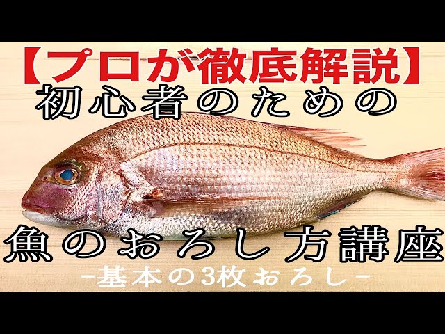 【プロが徹底解説】初心者のための魚のおろし方講座 - 基本の3枚おろし -