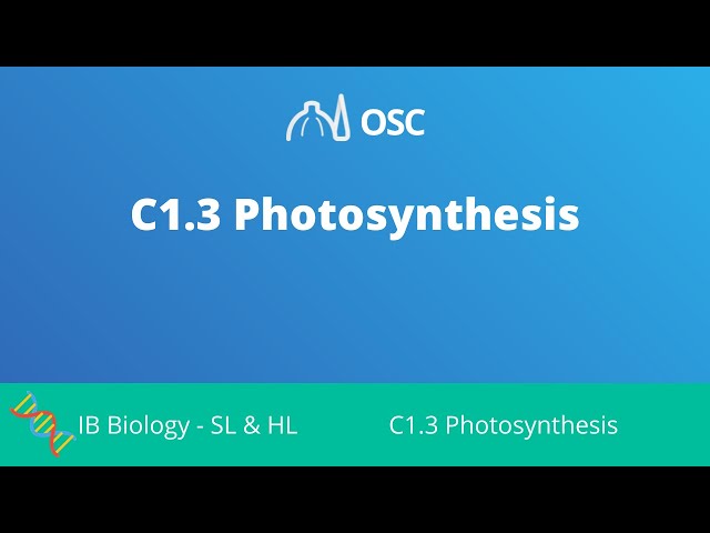 C1.3 Photosynthesis [IB Biology SL/HL]