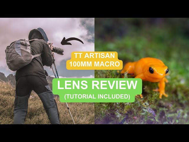 TTArtisan 100mm f/2.8 Macro Lens Review – Is It Worth It? + Focus Stacking Tips