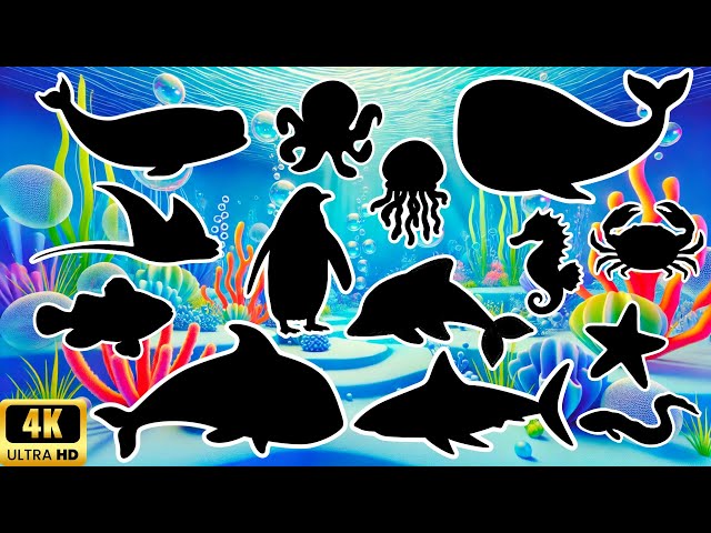 Adivina la sombra de los animales marinos | Juego de sombras | Aprende sobre los animales marinos