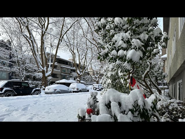 Walking Through massive amounts of snow in Kitsilano | Snowstorm | 2022