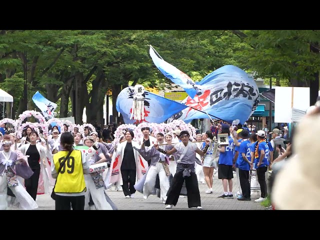 横浜百姫隊【4K】／NHK前ストリート／原宿表参道元氣祭スーパーよさこい 2024（初日）