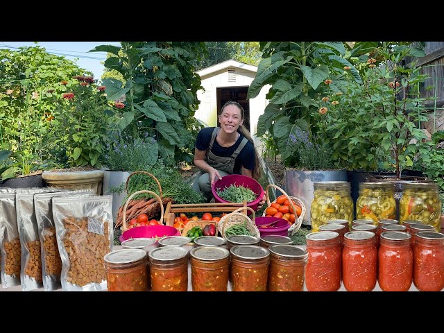 Huge Harvest Day! + Preserving Food From My Backyard Homestead! - Processing 30lbs Of Tomatoes!