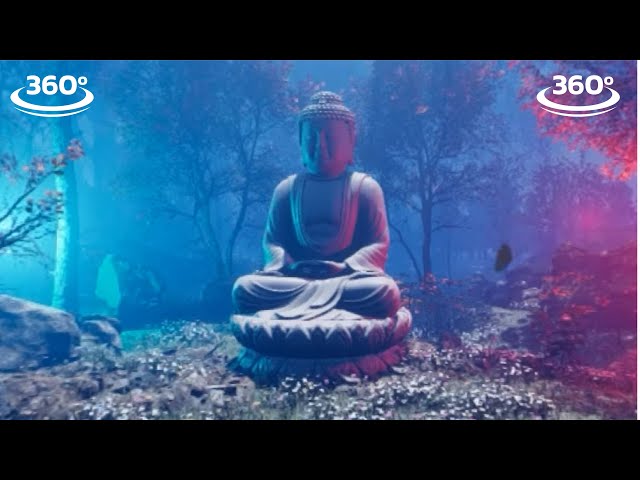 Buddha Forest Meditation Music in 360° Video : Immersive Meditation Music Experience