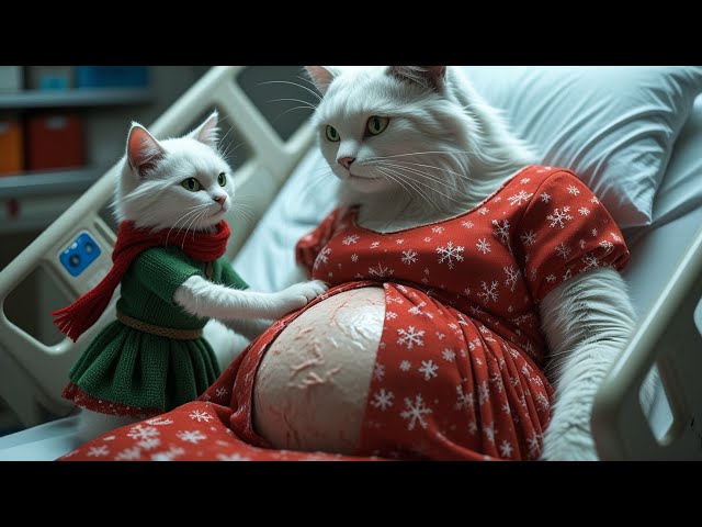 Pregnant Cat Sad Story #cat #cute #ai #catlover #catvideos #cutecat #aiimages #meow