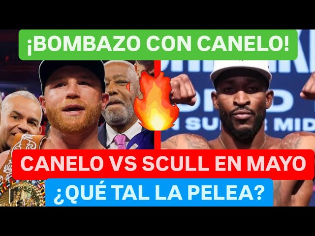 ¡BOMBAZO, CANELO VA CON EL CUBANO WILLIAM SCULL EN MAYO? #canelo