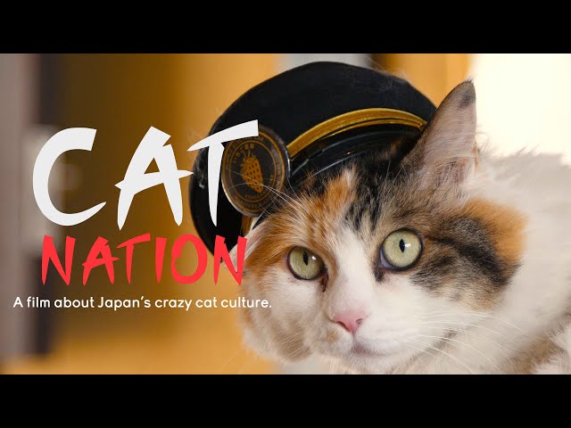 Cute Cats In Japan | Cat Nation (2020) | Full Film