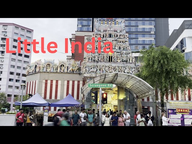 Beautiful Little India in Singapore #travel #vlog #explore #singapore #india